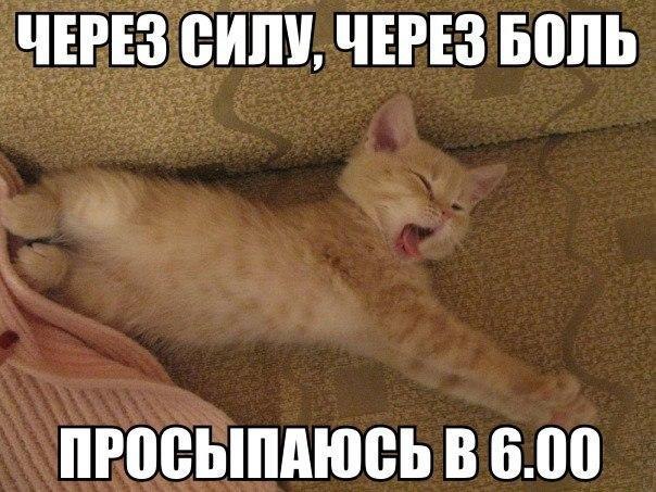       - 10  2015  09:01