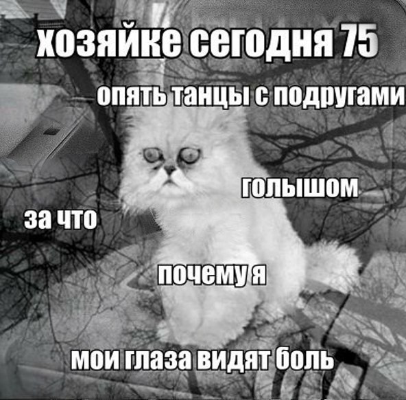 Art & Fun - 19  2015  15:18 - 2