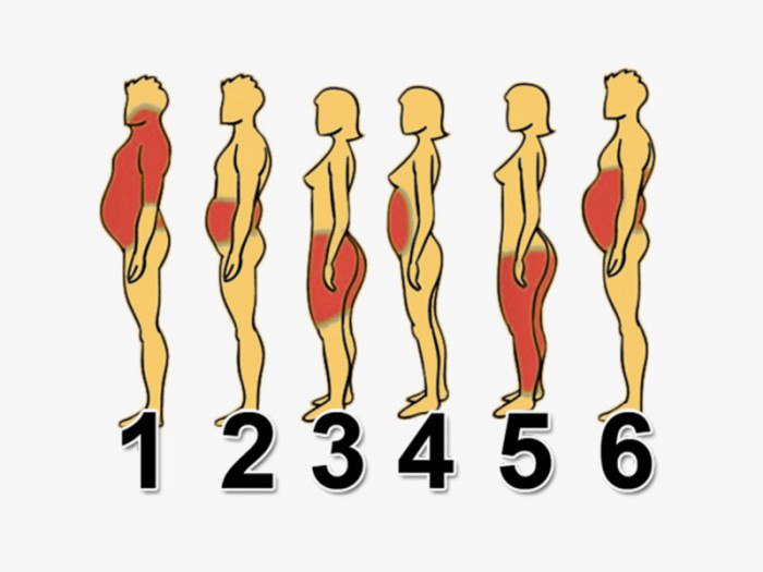 6  ,       .  -   ,   ...
