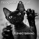 ���� �������, ������, 55 ��� - ��������� 7 �������� 2015 � ������ ��� � ����