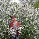 ���� ����, ������-��-����, 63 ���� - ��������� 16 ��� 2015