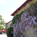  , , 60  -  19  2015     17.05.15.