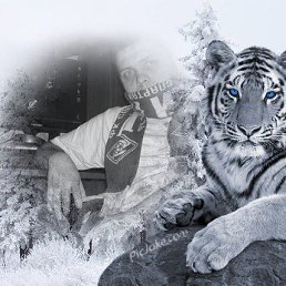 ���� �������, ������, 44 ���� - ��������� 28 ���� 2015