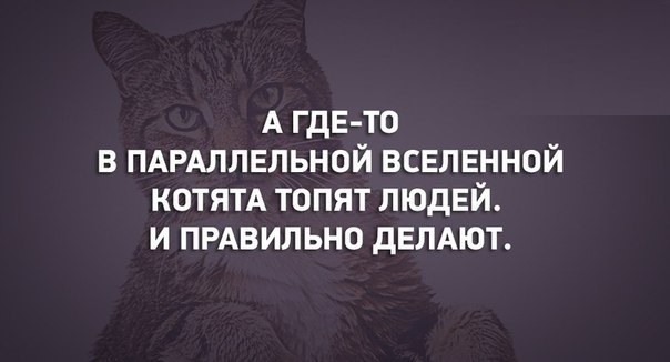 .. - 5  2015  22:59