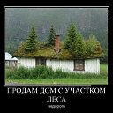 ���� ������, ����, 41 ��� - ��������� 13 �������� 2015 � ������ ���� ����������