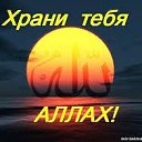 ���� �������, ����, 51 ��� - ��������� 9 ������� 2015 � ������ ���� ����������