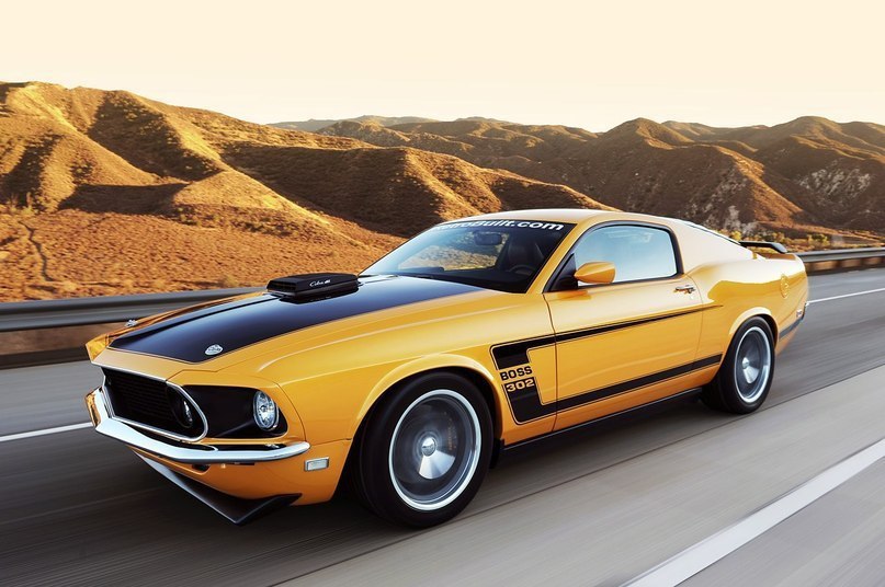 Retrobuilt Mustang Fastback Boss 302 1969. - 8