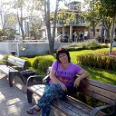 ���� �������, ������ - ��������� 7 ������� 2015 � ������ ���� ����������