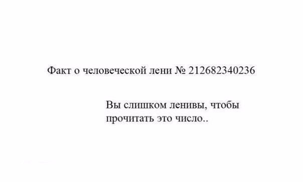  - 14  2015  01:06