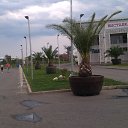  , , 57  -  10  2015    