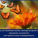 ���� ������, ������, 72 ���� - ��������� 22 ���� 2015 � ������ ����������� �����...�