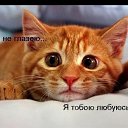 ���� �������, �������� - ��������� 5 �������� 2015 � ������ �������