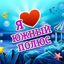 ���� �, �����, 37 ��� - ��������� 1 �������� 2015 � ������ �������