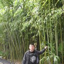 ���� ����, ��������, 54 ���� - ��������� 8 ���� 2015