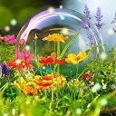  *** , , 58  -  21  2015    