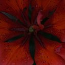 ���� ������, �������, 41 ��� - ��������� 12 ���� 2015 � ������ ����� �����