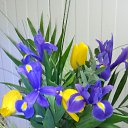 ���� ����, �����������, 65 ��� - ��������� 1 ������� 2015 � ������ ���� ����������