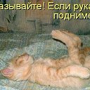 ���� �������, �������� - ��������� 18 ���� 2015 � ������ ������ ��������