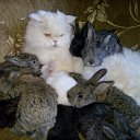 ���� ��������, �������, 55 ��� - ��������� 26 ���� 2015 � ������ ������� ���..�