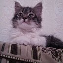 ������� �� ������� ���� ����������