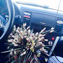 ���� ��������, �������� - ��������� 24 ������ 2015 � ������ ������ ��������