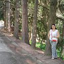  , -, 53  -  10  2015    
