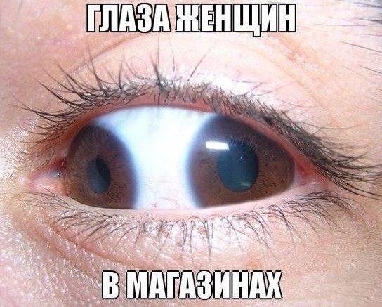     - 9  2015  20:41