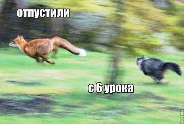    :D - 9  2015  20:00