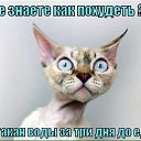  , - -  21  2015    