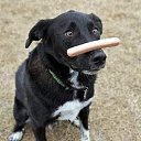 ���� �����, �����, 48 ��� - ��������� 23 ������� 2015 � ������ �14�