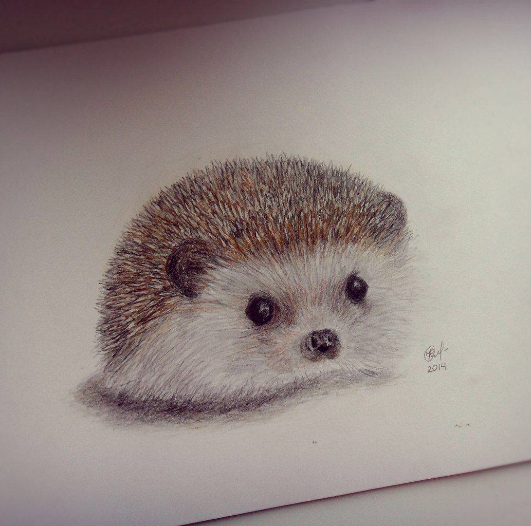 Art & Fun - 24  2015  03:06