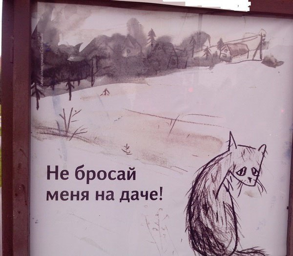 Дачнику-кошачнику инструкция на заметку
