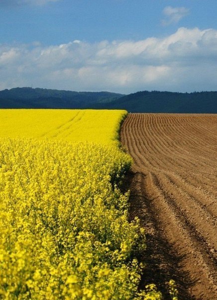 Хорошего ВСЕМ дня)))).Главное правильно дышать:Вдыхать Счастье...Выдыхать Добро... - 5