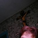 ���� ������, ������ - ��������� 31 ��� 2015 � ������ ���� ����������