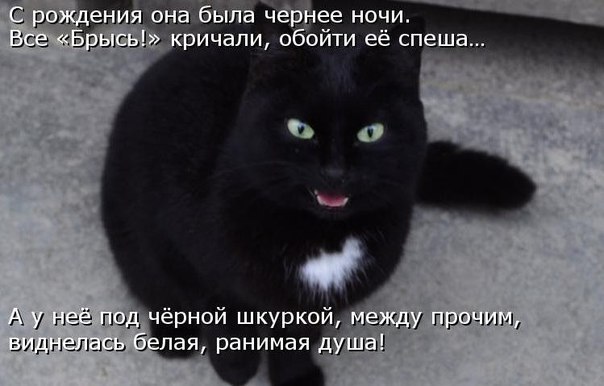    - 9  2015  06:11