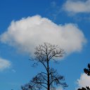 �������� ������ � ������ ������ ������. �� ������� ���� ����������