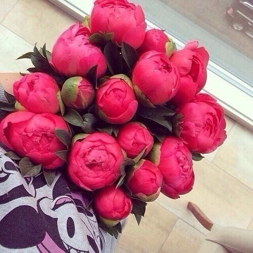   |  |  - 30  2015  23:40