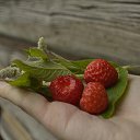 ���� (� ������������� ��������) �� ������� ���� ����������