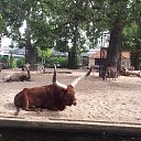 ���� ���������, ������, 65 ��� - ��������� 20 ������� 2015 � ������ ���� ����������