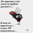  ,  -  28  2015    