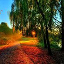 ���� ����, �������, 70 ��� - ��������� 23 �������� 2015 � ������ ������ ��������