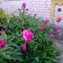 ����� ������ ���� ������, ����� ��� �������� �� ������� �������