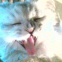 ���� �����, �����, 55 ��� - ��������� 25 ������ 2015 � ������ ������ ��������