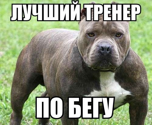   | , ,  - 9  2015  13:01