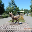 , , 58  -  29  2015    2015