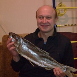 ������, �����, 67 ���