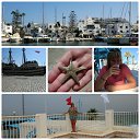  Jylia*, , 54  -  16  2015    