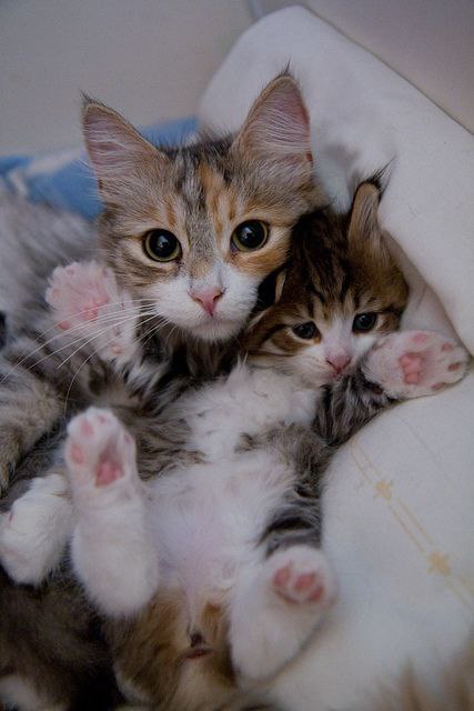  :3 - 2