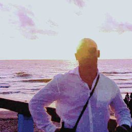 Vasi�, ��������