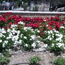 ���� �����, ������ - ��������� 28 ��� 2015 � ������ ������� 2015�